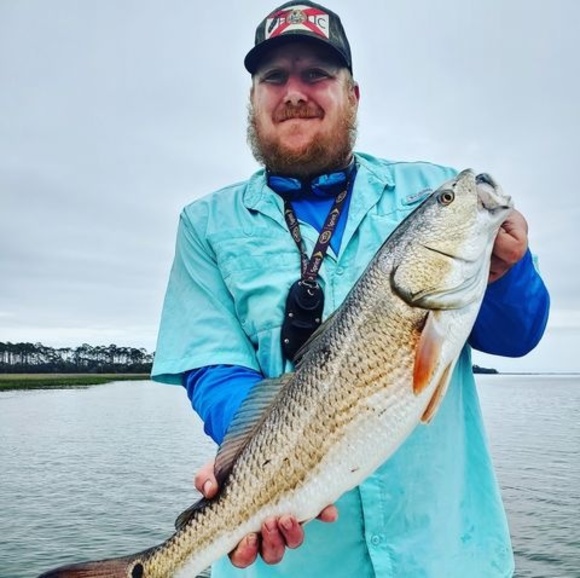 Meet your Posher, David - Picture 1 of 1